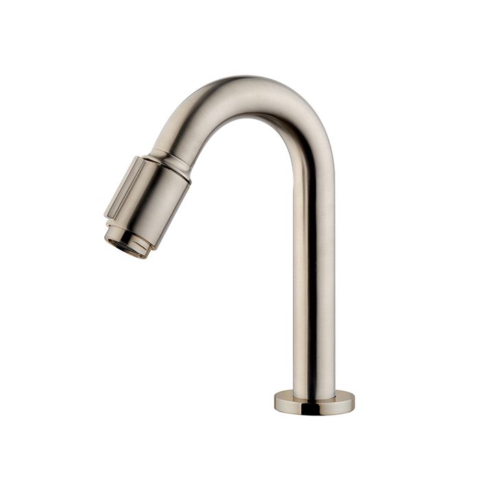 Wiesbaden Victoria luxe fonteinkraan 1/2'' geborsteld staal