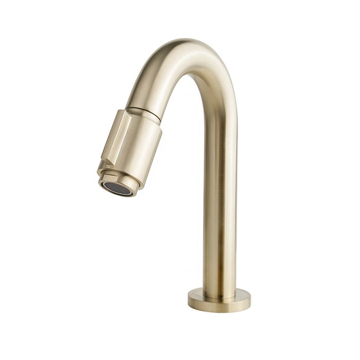 Wiesbaden Victoria luxe fonteinkraan 1/2'' geborsteld messing